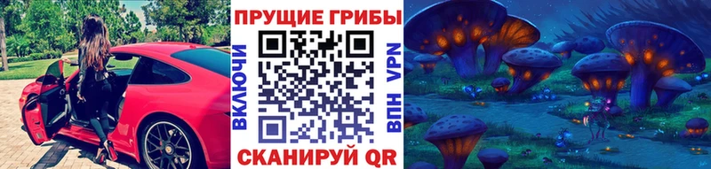 Псилоцибиновые грибы GOLDEN TEACHER Верхняя Пышма