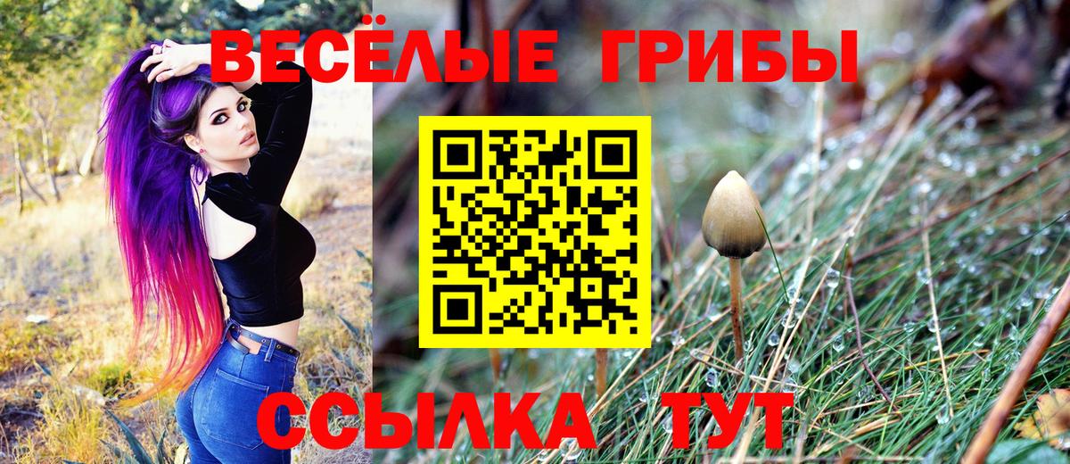 Галлюциногенные грибы Cubensis Верхняя Пышма