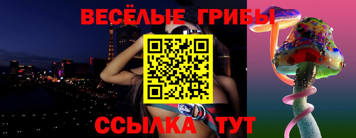 где найти   Псилоцибиновые грибы мухоморы  Вход с VPN  Верхняя Пышма 